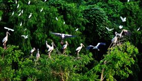 Begin your overstay-resolved day with Vietnam’s tranquil ambiance